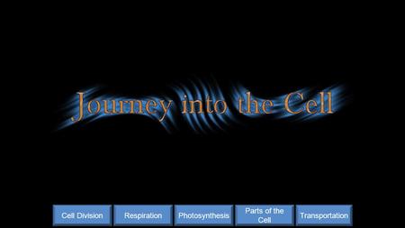 Transportation Parts of the Cell PhotosynthesisRespirationCell Division.