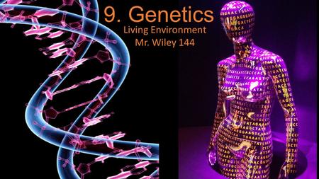 9. Genetics Living Environment Mr. Wiley 144. Genetics- the study of heredity Heredity- passing of traits from parent to offspring Trait- Genetics.