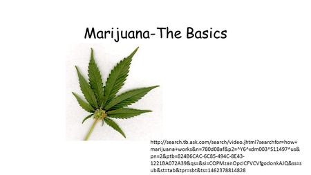 Marijuana-The Basics  marijuana+works&n=780d08af&p2=^Y6^xdm003^S11497^us& pn=2&ptb=824B6CAC-6C85-494C-8E43-