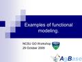 Examples of functional modeling. NCSU GO Workshop 29 October 2009.