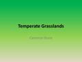 Temperate Grasslands Cameron Stone. Description of Biome Located in the midwest, Argentina and Uraguay, and the Eurasian steppes, characterized by rich.