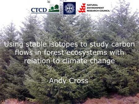 Carbon Flows in Forest Ecosystems with relation to climate change Andy Cross Using stable isotopes to study carbon flows in forest ecosystems with relation.