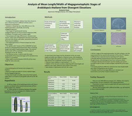 Analysis of Mean Length/Width of Megagametophytic Stages of Arabidopsis thaliana from Divergent Elevations Benjamin Doyle Department of Biological Sciences,