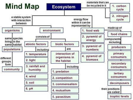 Mind Map Ecosystem organisms populations a stable system with interaction between same species living in the same habitat community different groups form.