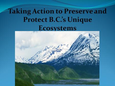 Taking Action to Preserve and Protect B.C.’s Unique Ecosystems.