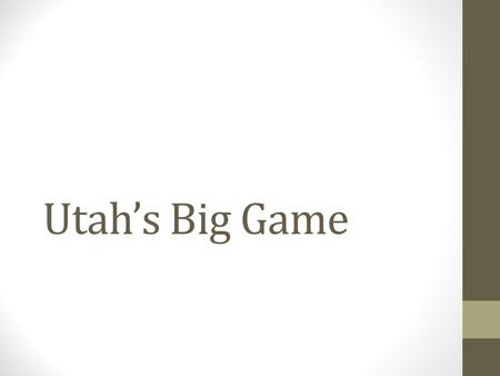 Utah’s Big Game. Mule Deer Named for its large ears- Like a Mule Black tip on the end of tail Extremely common in Utah Open to hunting Habitat: mountains,