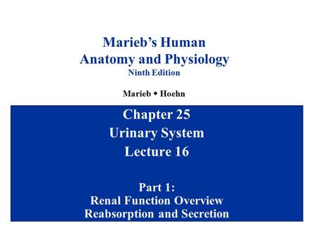 Chapter 25 Urinary System Lecture 16 Part 1: Renal Function Overview Reabsorption and Secretion Marieb’s Human Anatomy and Physiology Ninth Edition Marieb.