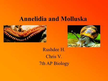 Annelidia and Molluska Rushdee H. Chris V. 7th AP Biology.