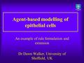 Agent-based modelling of epithelial cells An example of rule formulation and extension Dr Dawn Walker, University of Sheffield, UK.