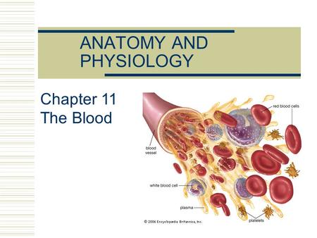 ANATOMY AND PHYSIOLOGY Chapter 11 The Blood. Blood is the only fluid tissue The Blood.