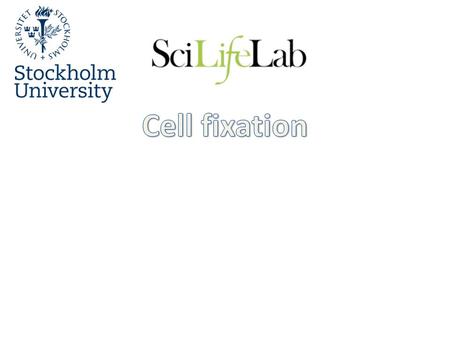 To perform in situ studies on mRNA or DNA, cells morphology and genetic information has to be preserved. Fixation(preservation) is conducted with 3.4.