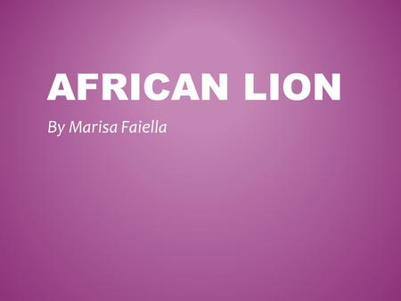 AFRICAN LION By Marisa Faiella. CHARACTERISTICS OF AN AFRICAN LION! Vertebrate or Invertebrate? The African Lion is a vertebrate because they have a back.