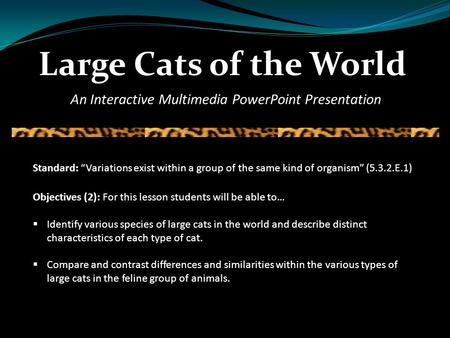 Large Cats of the World Standard: “Variations exist within a group of the same kind of organism” (5.3.2.E.1) Objectives (2): For this lesson students.