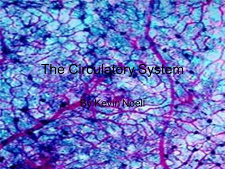 The Circulatory System By Kevin Noell. §115.6. Health Education, Grade 4. (b) Knowledge and skills. (1) Health information. The student recognizes ways.