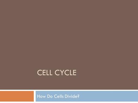 CELL CYCLE How Do Cells Divide?. What you will learn…  1. Why Do Cells Divide?  2. Chromosome structure  3. Cell Division in Prokaryotes  4. Cell.