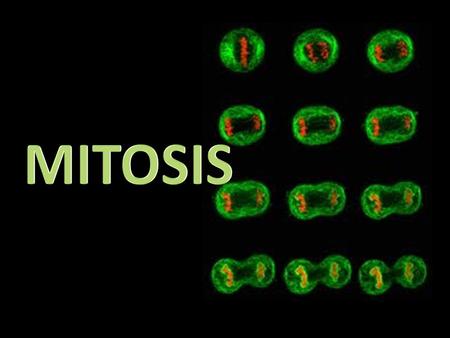 What is the cell cycle? Growth And Division What is Mitosis? Nuclear Division.