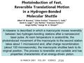 , 2124 A rotaxane is described in which a macrocycle moves reversibly between two hydrogen-bonding stations after a nanosecond laser pulse. At room temperature.