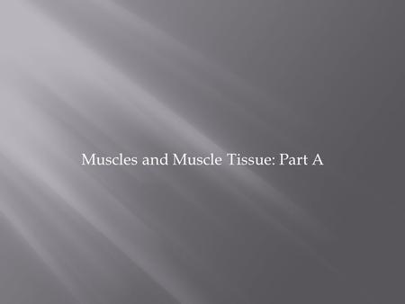 Muscles and Muscle Tissue: Part A. 1. Skeletal muscle tissue:  Attached to bones and skin  Striated  Voluntary (i.e., conscious control)  Powerful.