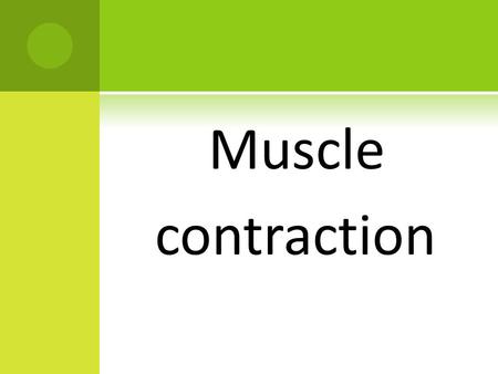 Muscle contraction. Students participating in the presentation: 1- naif aljabri 430101612 2- yousif alessa 430105885 3- faris abalkheel 430101692 4- Ali.