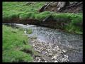 Integrated Catchment Assessment and Management Centre.