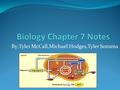 By;Tyler McCall,Michael Hodges,Tyler Sonsma. Vocab Cellular respiration- the oxidation of organic compounds to extract energy from chemical bonds. Nicotinamide.