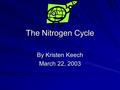 The Nitrogen Cycle By Kristen Keech March 22, 2003.