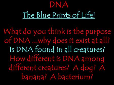 What do you think is the purpose of DNA...why does it exist at all? Is DNA found in all creatures? How different is DNA among different creatures? A dog?