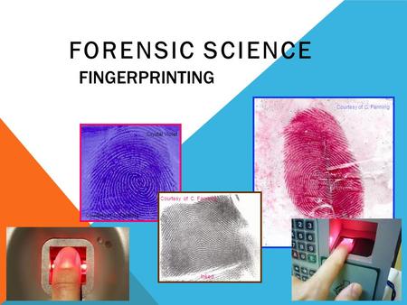 FINGERPRINTING FORENSIC SCIENCE 15-1 Crystal Violet Red Fluorescent Inked Courtesy of C. Fanning.