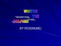 BY ROISIN(ME). 1. Winter is a juvenile, Atlantic bottlenose dolphin. 2. She was born on the 21 st of September 2005 off the coast of Florida (that makes.