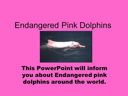 Endangered Pink Dolphins This PowerPoint will inform you about Endangered pink dolphins around the world.