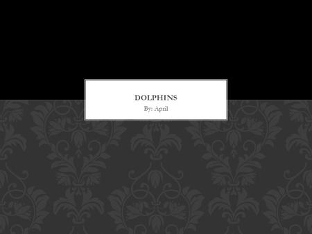 By: April. Dolphins are cute. Dolphins use two flippers and a dorsal. They have big teeth. They are gray. They are pink. WHAT DO THEY LOOK LIKE?