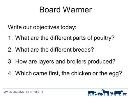 WF-R ANIMAL SCIENCE 1 Board Warmer Write our objectives today: 1.What are the different parts of poultry? 2.What are the different breeds? 3.How are layers.