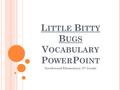 L ITTLE B ITTY B UGS V OCABULARY P OWER P OINT Northwood Elementary 5 th Grade.