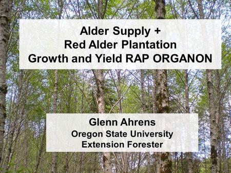 Alder Supply + Red Alder Plantation Growth and Yield RAP ORGANON Glenn Ahrens Oregon State University Extension Forester.