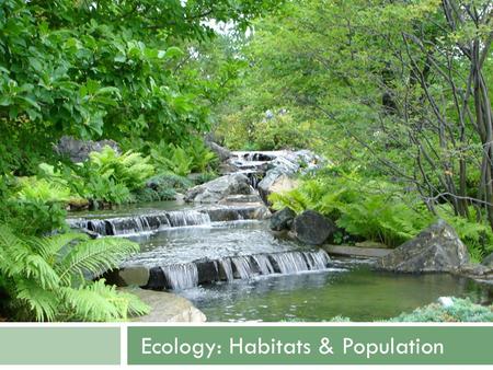 Ecology: Habitats & Population. Ecology: Habitats & Populations.