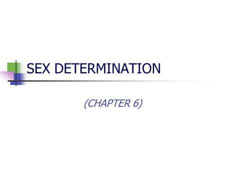 SEX DETERMINATION (CHAPTER 6). COMPETENCY TEST MATERIAL A. SEX DETERMINATION B. SEX LINKAGE C. MULTIPLE ALLELE D. INBREEDING.