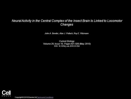 Neural Activity in the Central Complex of the Insect Brain Is Linked to Locomotor Changes John A. Bender, Alan J. Pollack, Roy E. Ritzmann Current Biology.