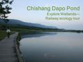 Chishang Dapo Pond Explore Wetlands— Railway ecology tour.