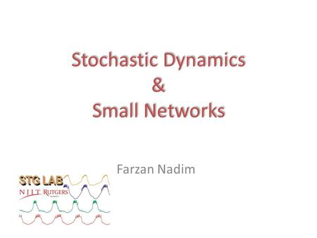 Stochastic Dynamics & Small Networks Farzan Nadim.