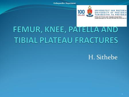 H. Sithebe 1 Orthopaedics Department. FEMUR FRACTURES Femur Head Femur Neck Intertrochanteric Subtrochanteric Shaft Supracondylar Condylar 2.