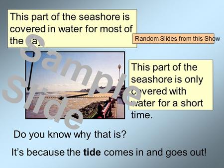 This part of the seashore is covered in water for most of the day. This part of the seashore is only covered with water for a short time. Do you know.