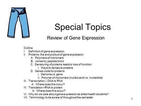 1 Special Topics Review of Gene Expression Outline I.Definition of gene expression II.Proteins- the end product of gene expression A.Polymers of monomers.