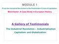 A Gallery of Testimonials A Gallery of Testimonials The Industrial Revolution – Industrialization Capitalism and Globalization MODULE 1 From the Industrial.