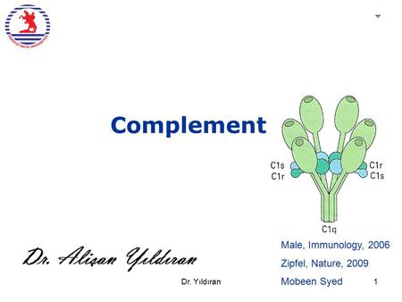 Complement Male, Immunology, 2006 Zipfel, Nature, 2009 Mobeen Syed ب Dr. Yıldıran1.