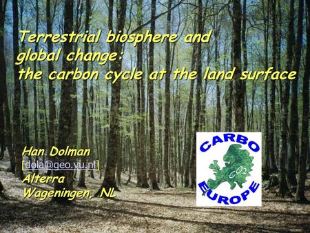 Terrestrial biosphere and global change: the carbon cycle at the land surface Han Dolman [  Wageningen, NL.