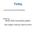 Today Finish up: Nerves: Na/K concentration gradient Fats, Sugars, Food you need to survive. Last Homework due this Wednesday.