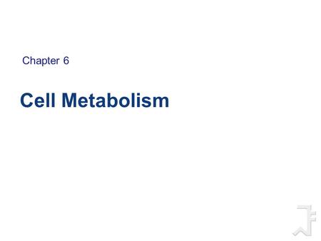 Cell Metabolism Chapter 6. Metabolic Pathways  Metabolic Pathways  Break down and manufacture molecules in a sequential set of reactions  Enzyme reaction: