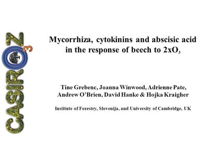 Mycorrhiza, cytokinins and abscisic acid in the response of beech to 2xO 3 Tine Grebenc, Joanna Winwood, Adrienne Pate, Andrew O’Brien, David Hanke & Hojka.