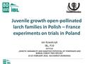 Juvenile growth open-pollinated larch families in Polish – France experiments on trials in Poland Jan Kowalczyk IBL, P19 seminar „GENETIC VARIABILITY AND.