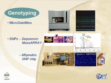 10cM - Linkage Mapping Set v2 ABI Median intermarker distance: 4.7 Mb Mean intermarker distance: 5.6 Mb Mean genetic gap distance: 8.9 cM Average Heterozygosity.